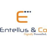 Entellus & Co